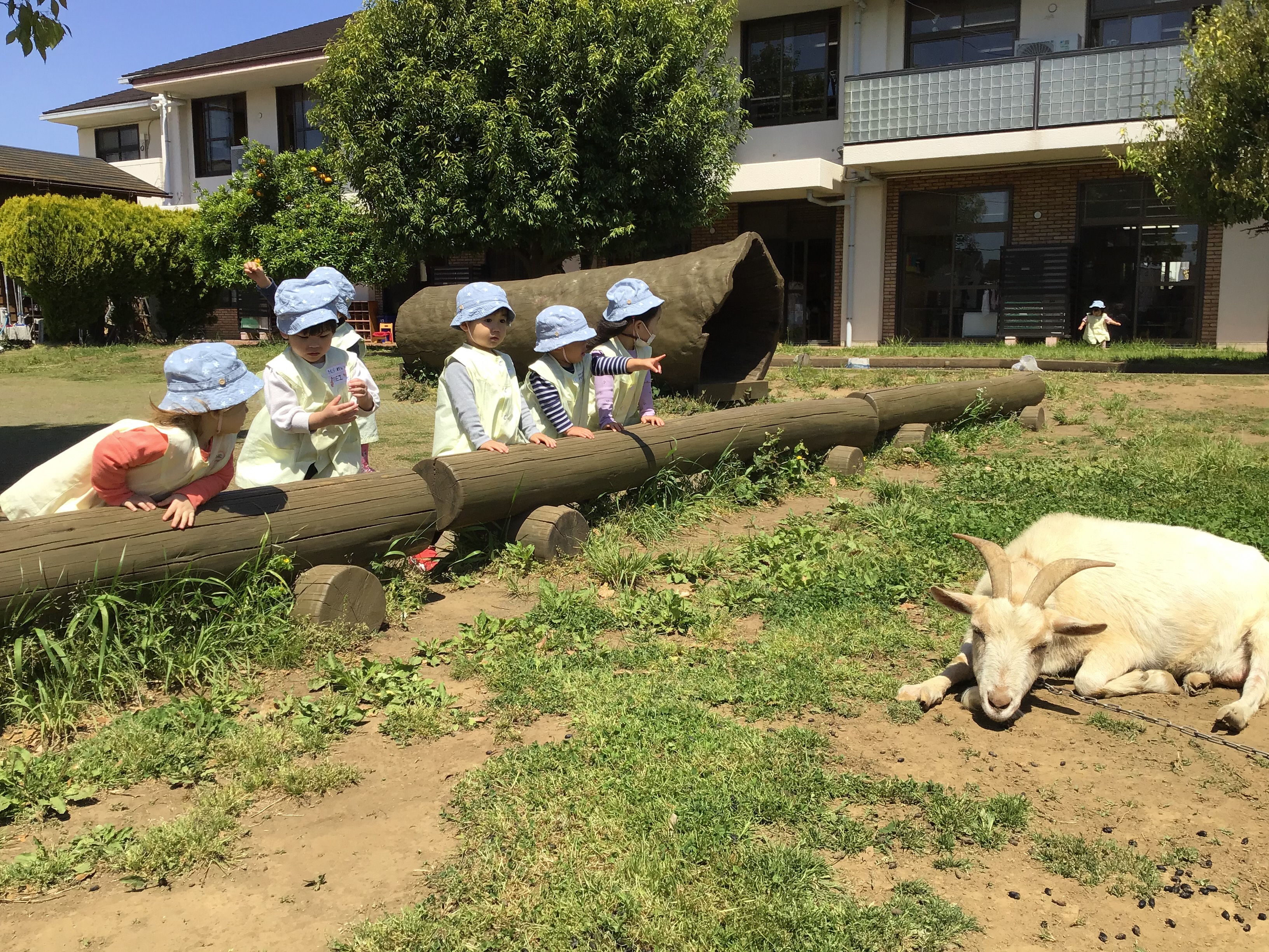 やまた幼稚園 何歳から？